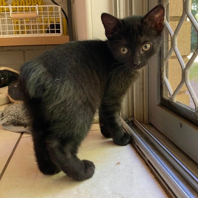 Photo of Posy