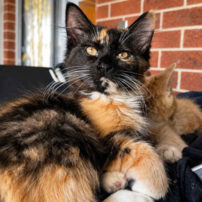 Photo of Lina