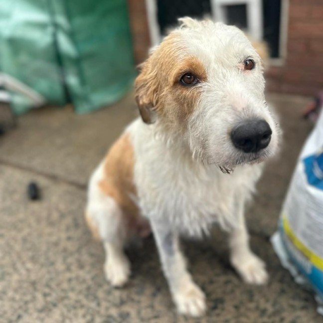 Photo of Penny