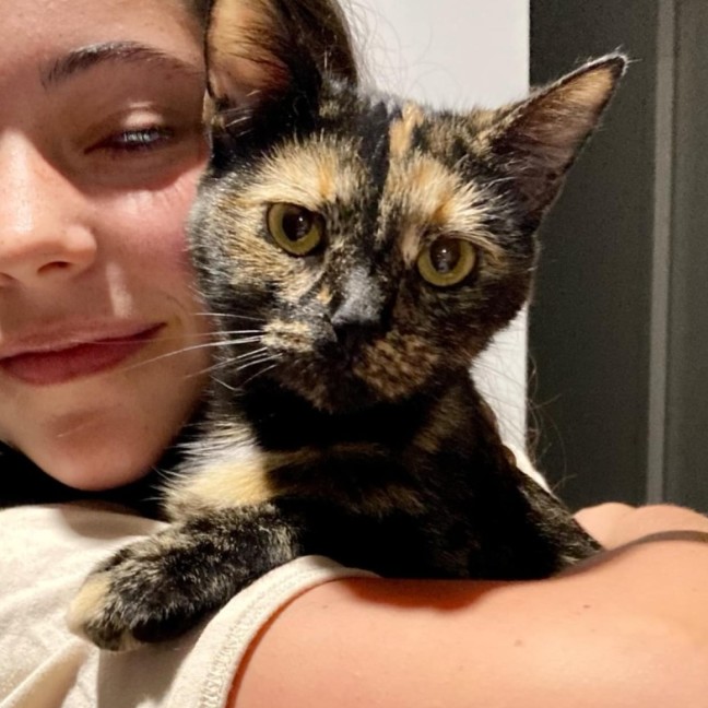 Photo of 🌼 Penee 🌼