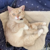 Photo of Finnegan
