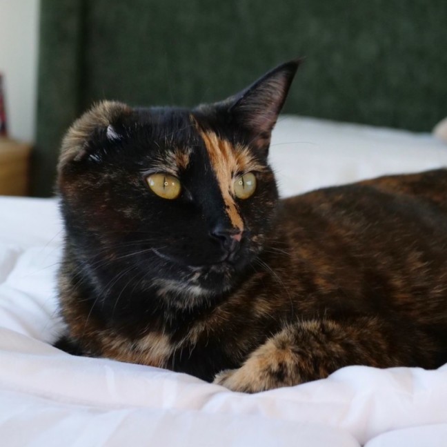 Photo of Storm