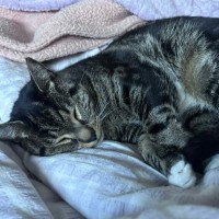 Photo of Tasha