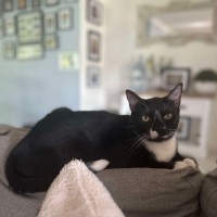 Photo of Rocky