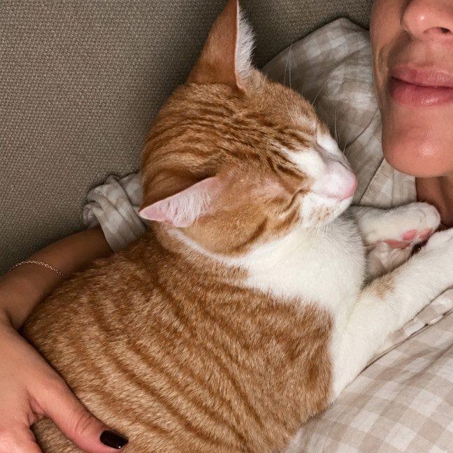 Photo of Maple