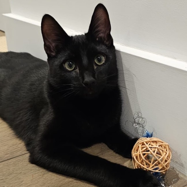 Photo of Cash