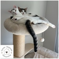 Photo of Layla & Lulu