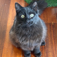 Photo of Max