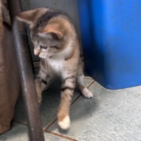 Photo of Sophie 😻