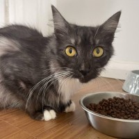 Photo of Mitzi