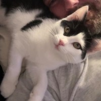 Photo of Skittles And Parkway 😸