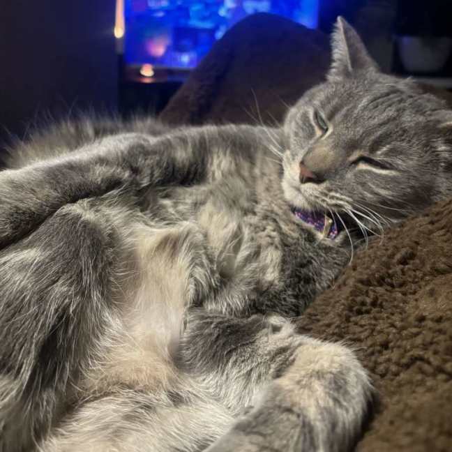 Photo of Claude 👑