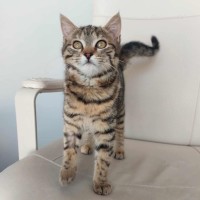 Photo of Willow 🌱