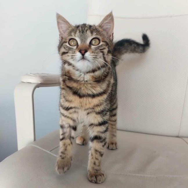 Photo of Willow 🌱