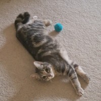 Photo of  Brixie Rue