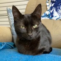 Photo of Candy