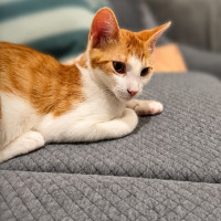 Photo of Bingo