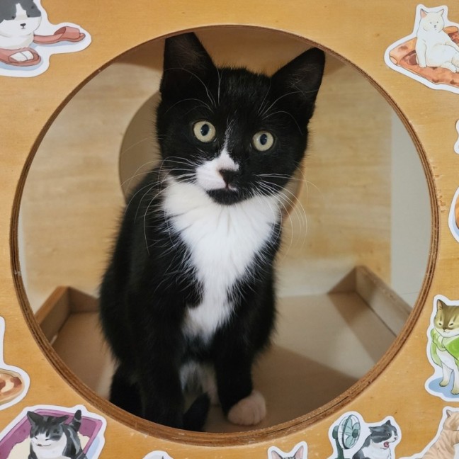 Photo of Alice