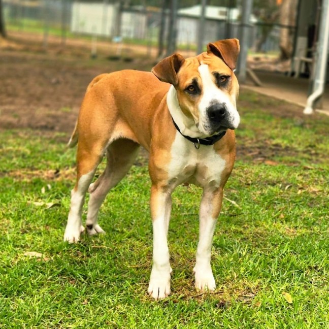 Photo of Ruby