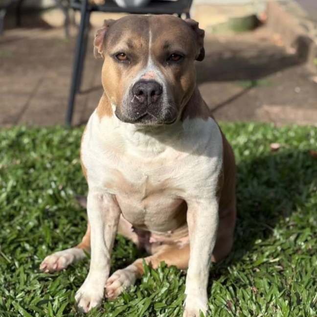 Photo of Ella