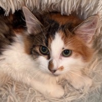 Photo of Grace 