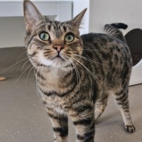 Photo of C1485 Max   Mabel