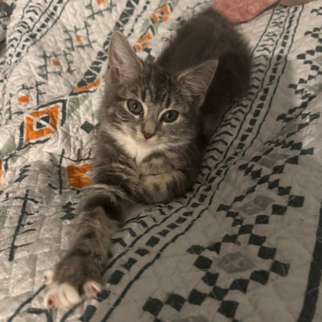 Photo of Meredith Grey