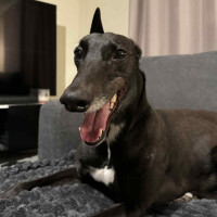 Photo of Tiny