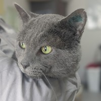 Photo of 👓 Morpheus 5836 👓