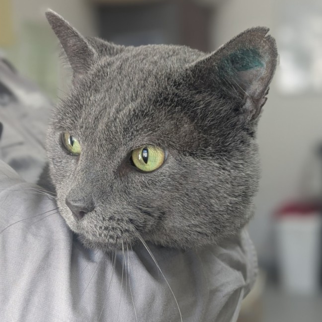 Photo of 👓 Morpheus 5836 👓