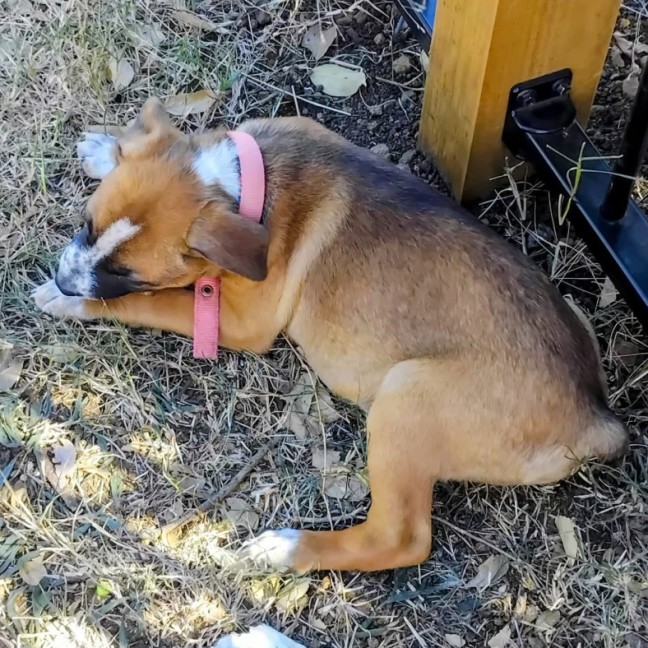Photo of Bryn