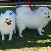 Photo of Lexie And Tudor