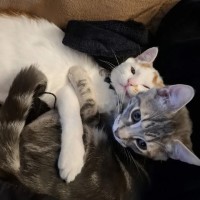 Photo of Archie And Jude