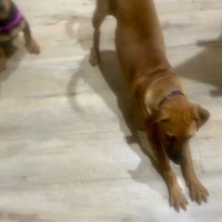 Photo of Marmie