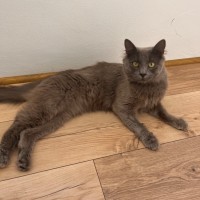 Photo of Rhys