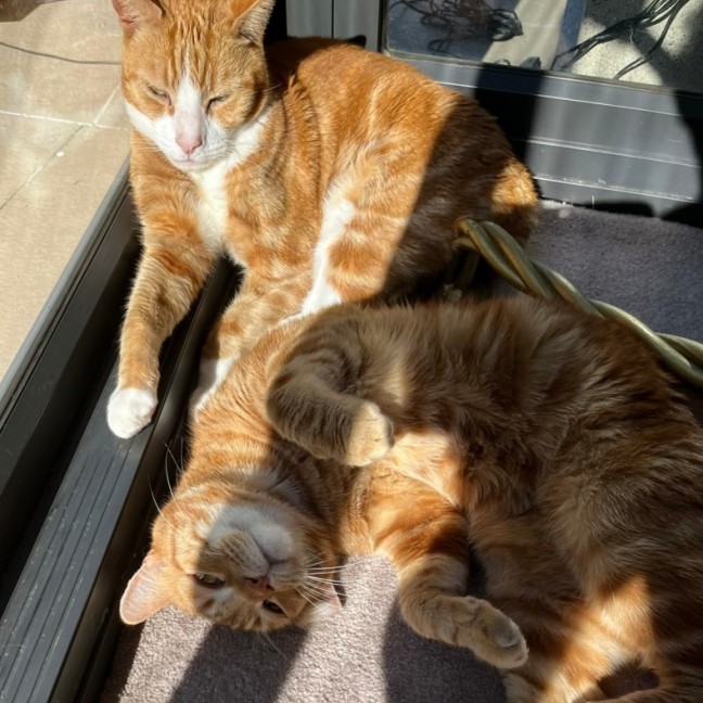 Photo of Sailor And Clive