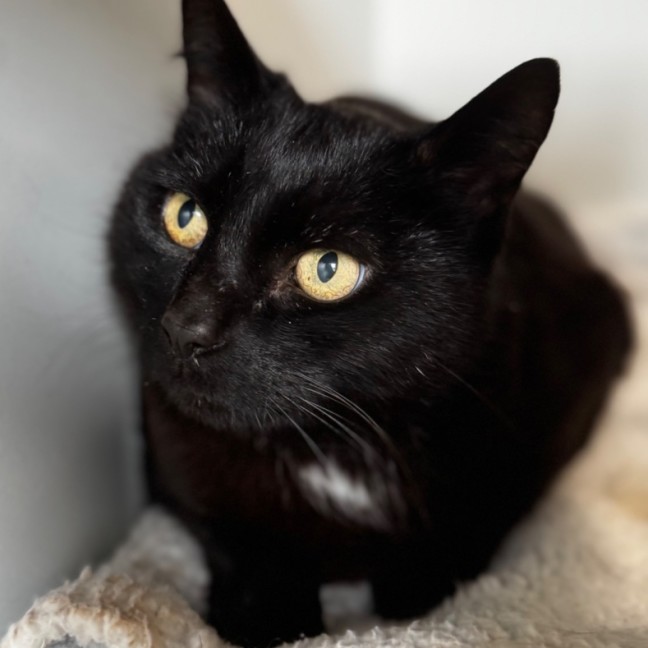Photo of Kiki
