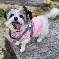 Photo of Senorita