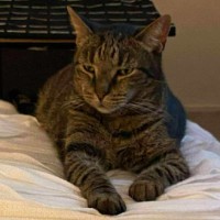 Photo of Zeus