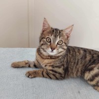 Photo of Willow 🌱