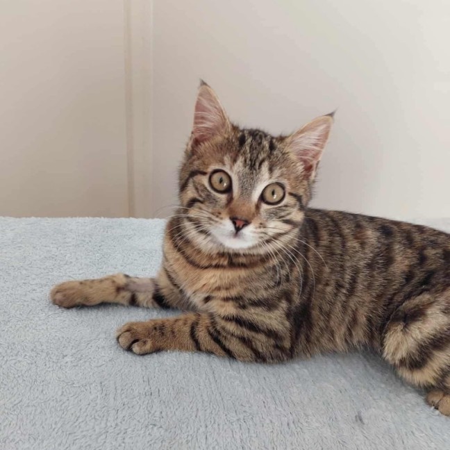 Photo of Willow 🌱