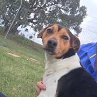 Photo of Buddy