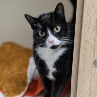 Photo of ⛳ Melvin 5886 ⛳