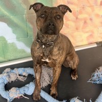 Photo of 🎨 Molly 6640 🎨