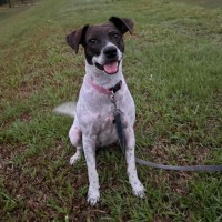 Photo of Billie Jean