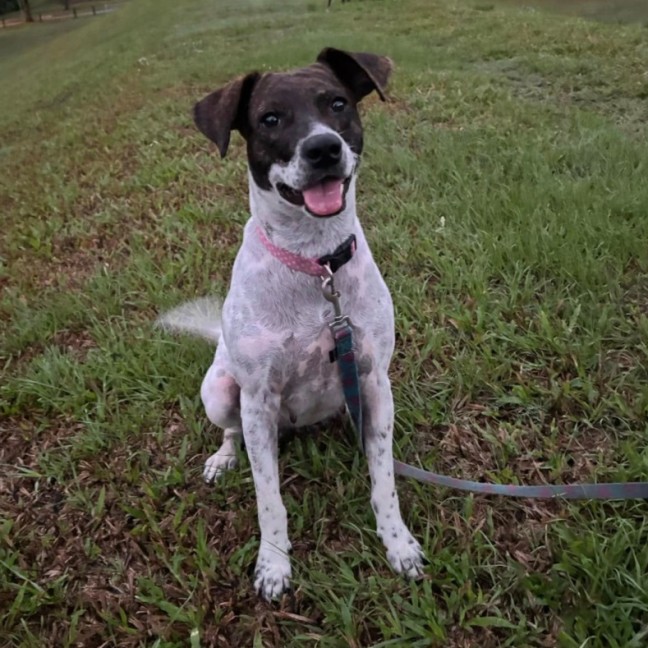 Photo of Billie Jean