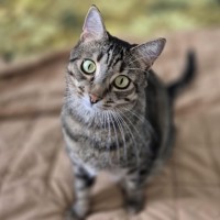 Photo of 🔶 Jorgi 🔶