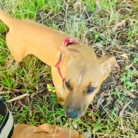 Photo of Hazel