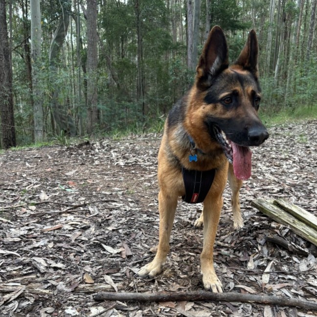 Photo of Max