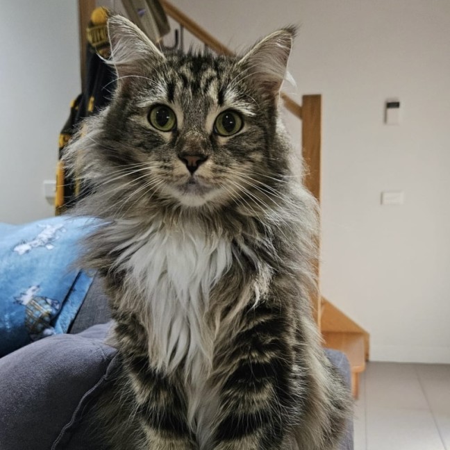 Photo of Edna
